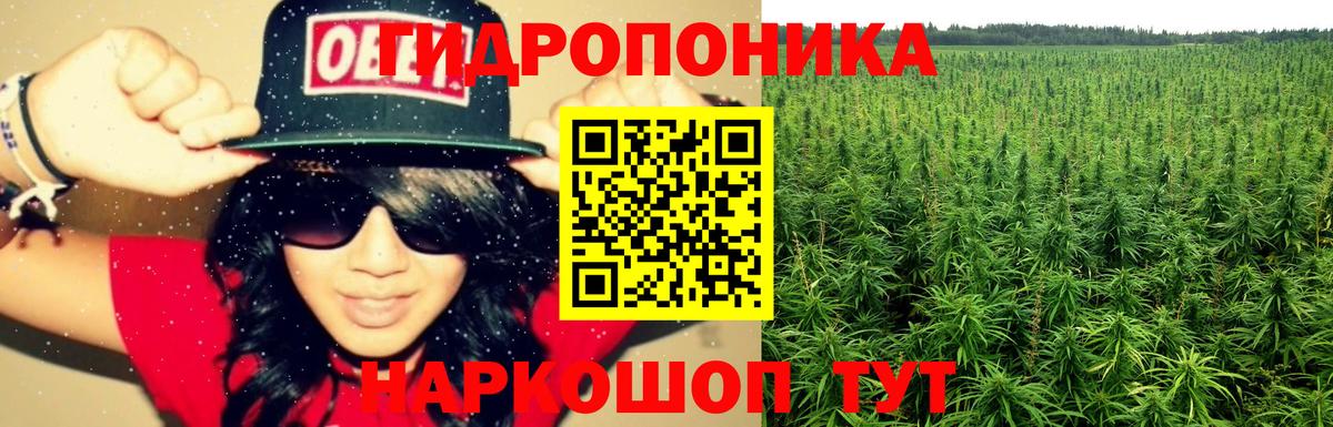 Марихуана Bruce Banner Саратов